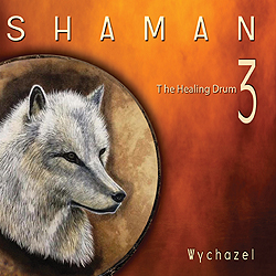 CD Šaman 3 The Healing Drum  Léčivý buben