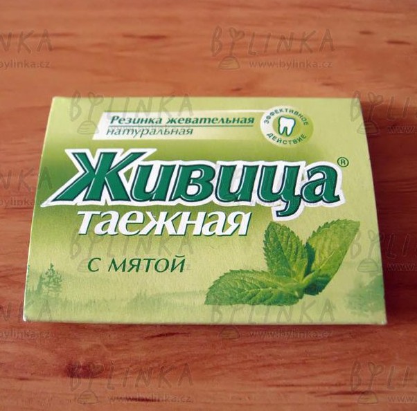 Sibiřská žvýkací pryskyřice s mátou