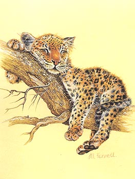 Metalický obrázek - Malý leopard