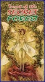 Tarot z Tajemného lesa - Tarot of the Secret Forest