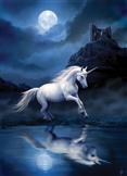 Přání - Moonligt Unicorn