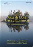 Praxe přítomnosti: de Llosa Patty