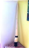 Didgeridoo - tradiční australský domorodý hudební nástroj - javor, délka 140 cm