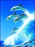 Metalický obrázek - Delfíni