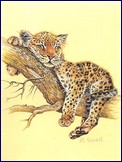Metalický obrázek - Malý leopard