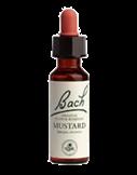 Hořčice polní (Mustard) č.21 - Jednotlivá Bachova esence 20 ml