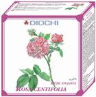 Rosa Centifolia (Růže stolistá) 50g