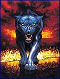 Metalický obrázek - Panther