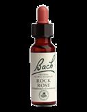 Devaterník penízkovivý (Rock rose) č.26 - Jednotlivá Bachova esence 20 ml